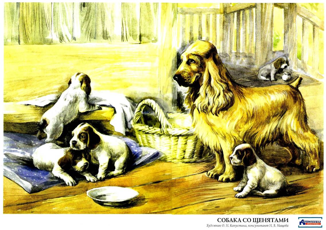 Мама и собака рассказ. Собака со щенятами Нищева. Картина собака со щенятами. Сюжетная картина собака со щенятами. Картина для детей собака со щенятами.