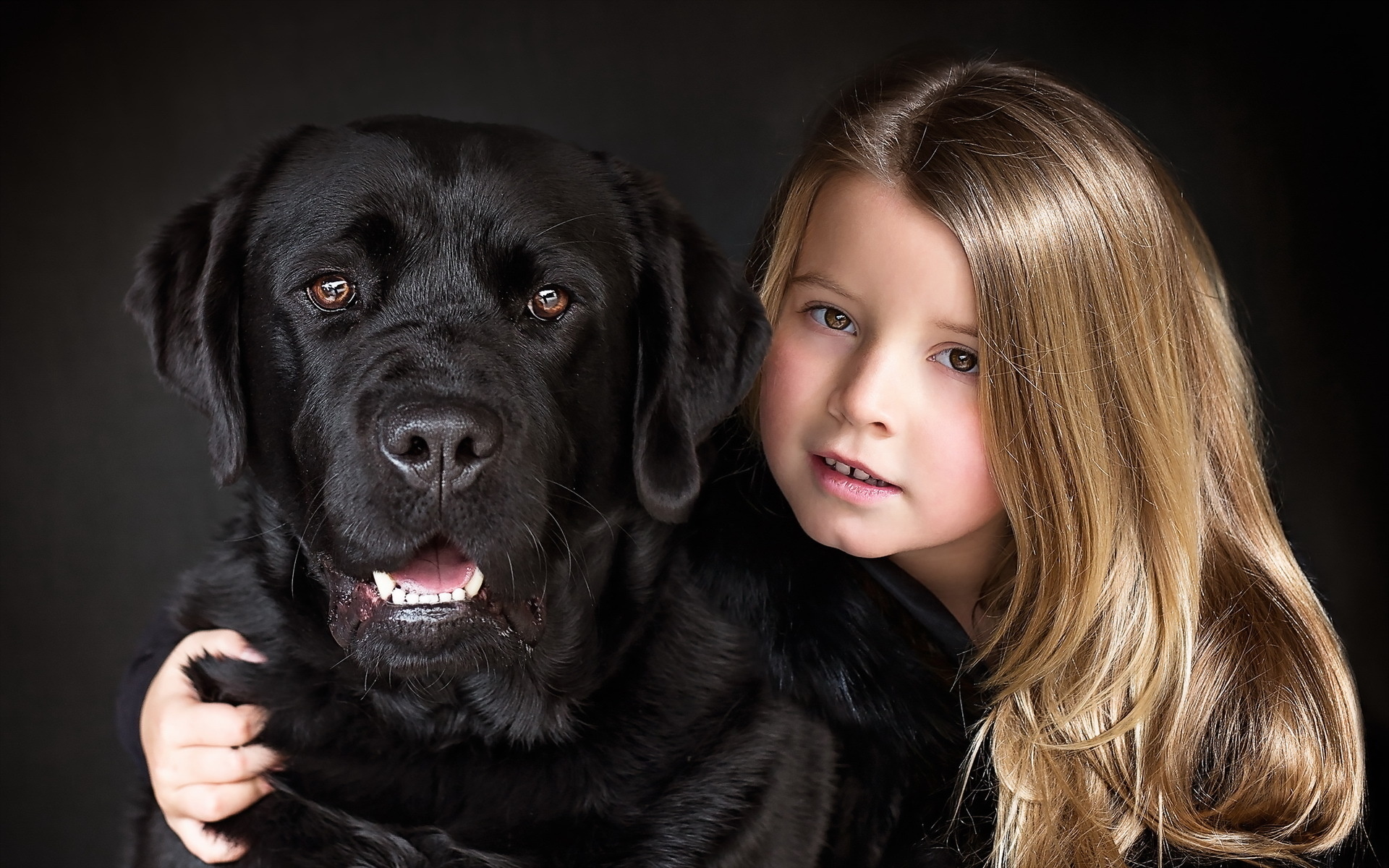 Девочка 12 лет с собакой. Лабрадор ретривер. Лабрадор черный. Кане Корсо и лабрадор. Лабрадор ретривер черный.