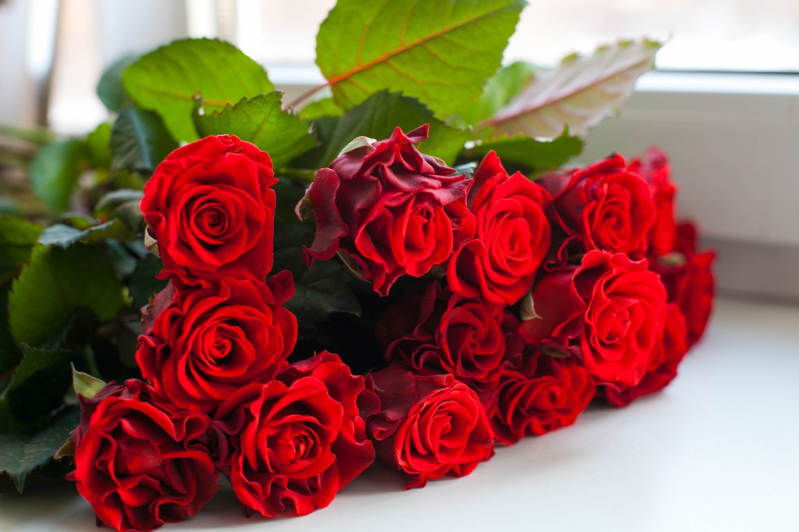 Букет фото открытка. Красивый букет роз. Шикарный букет роз. Букет красных роз. Шикарный букет красных роз.