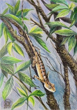 ����� � �������... (710)