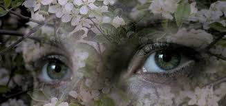 ������ ��������