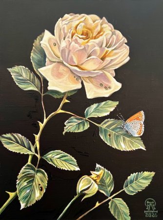 ����� � �������... (729)